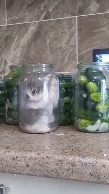 trim.43A84D97-09A9-4A50-92E0-54438F158033