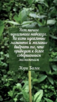 Цитаты о важном (30) #shorts