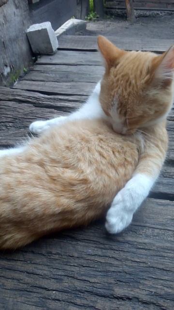 Чистота - залог здоровья