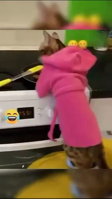 trim.72B3AEAF-0763-47AC-B9FB-3E31DF7B3D0F