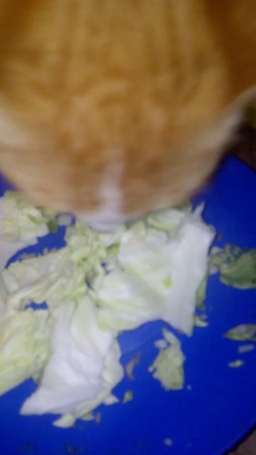 Макарошки и Капуста