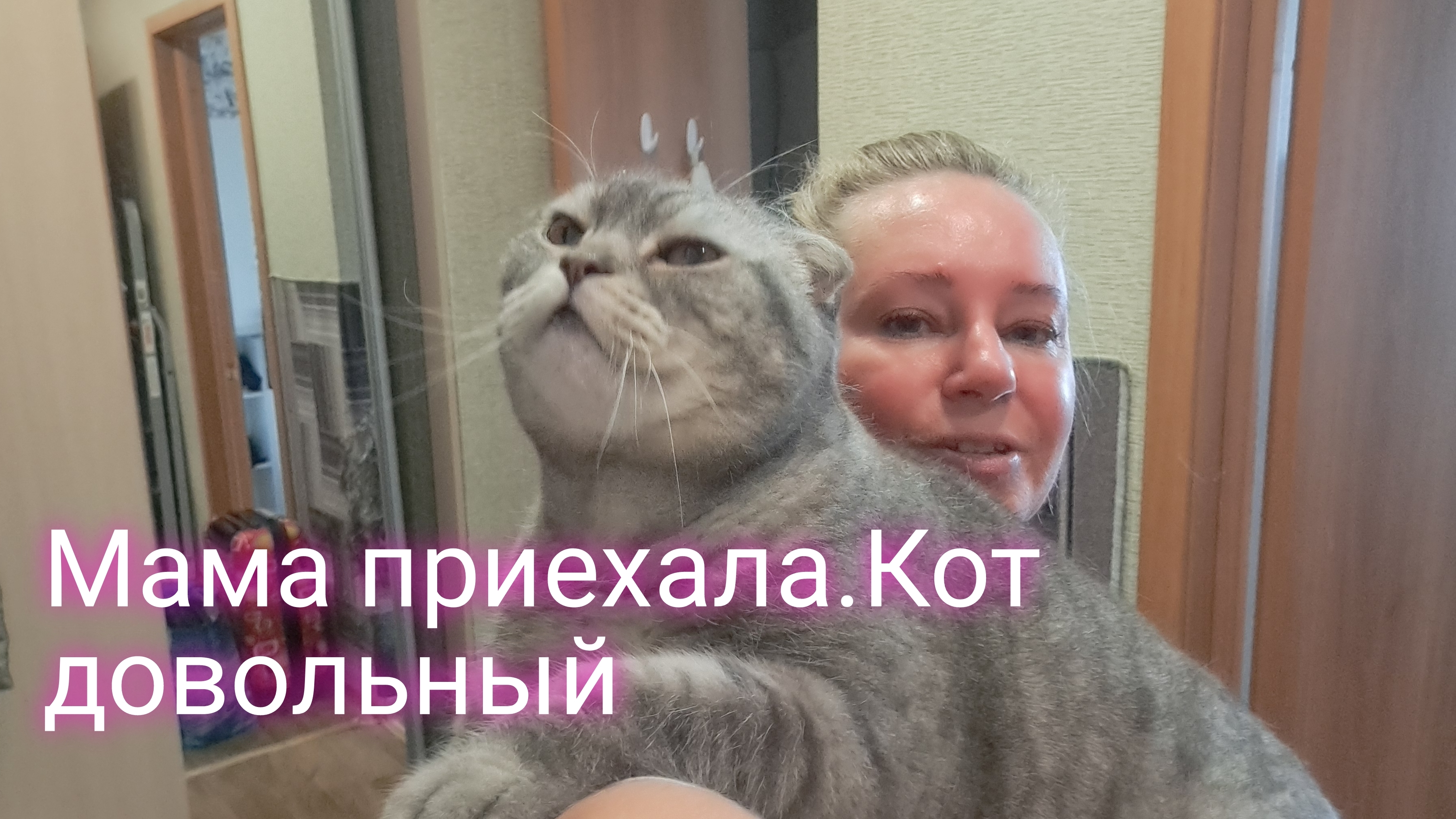 Я дома/ кот довольный/очень мне обрадовался