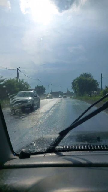 Грибной дождик