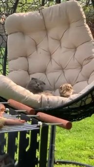 trim.41F20E01-6E8F-437C-B3A9-A47EFF6EC3B1