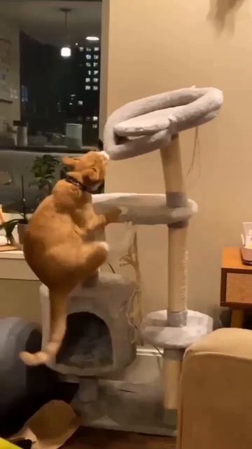 trim.67F09DB5-8C5B-424C-8B12-B83D99F17221