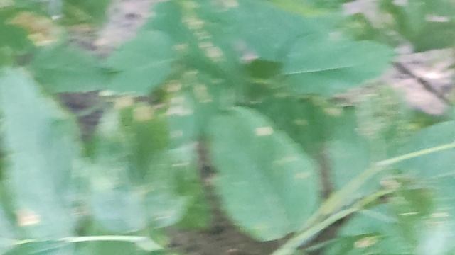 они нуждаются в вашей помощи - прогноз погоды от волшебника 25 июля...