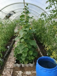 урок труда на даче# ремонт табуретки# дети