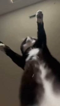 trim.55B7AB5D-06BB-4EA7-ADB6-D34C97857C80