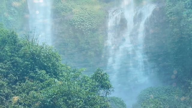 🐦 Расслабляющие звуки дождя + спокойная музыка