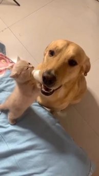 trim.55B4126C-8DB5-47F0-BD73-A9A794F3880D