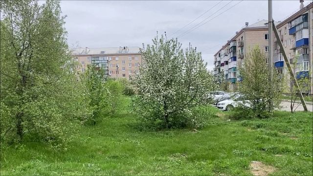 Гуляй Россия! (клип)
