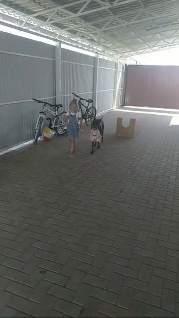 Маленькая хозяйка