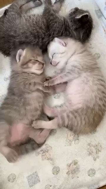 trim.71E2D8FB-96AC-48A4-BDC7-597DBDBDD070