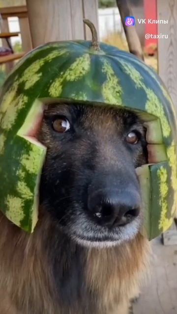 TaxiRU✅
89011000011
89182202022
Корпоративный
88003000000
TELEGRAM↙ https://T.ME/TaxiRU8800/