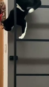 trim.54F894D5-3362-40DF-B48E-A6EAF9604E46