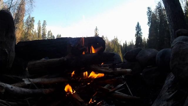 Лайфстайл покатушки моего мужа в лесу! Смотреть всем!!! Часть 1