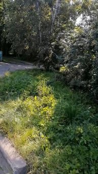 Дворы Летчика Пилютова