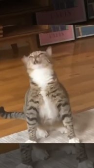 trim.60BB4D10-ADC2-45A9-B9FB-F6B80D957791