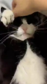 trim.71EA389D-479E-4482-A457-CD20E1FC78A4