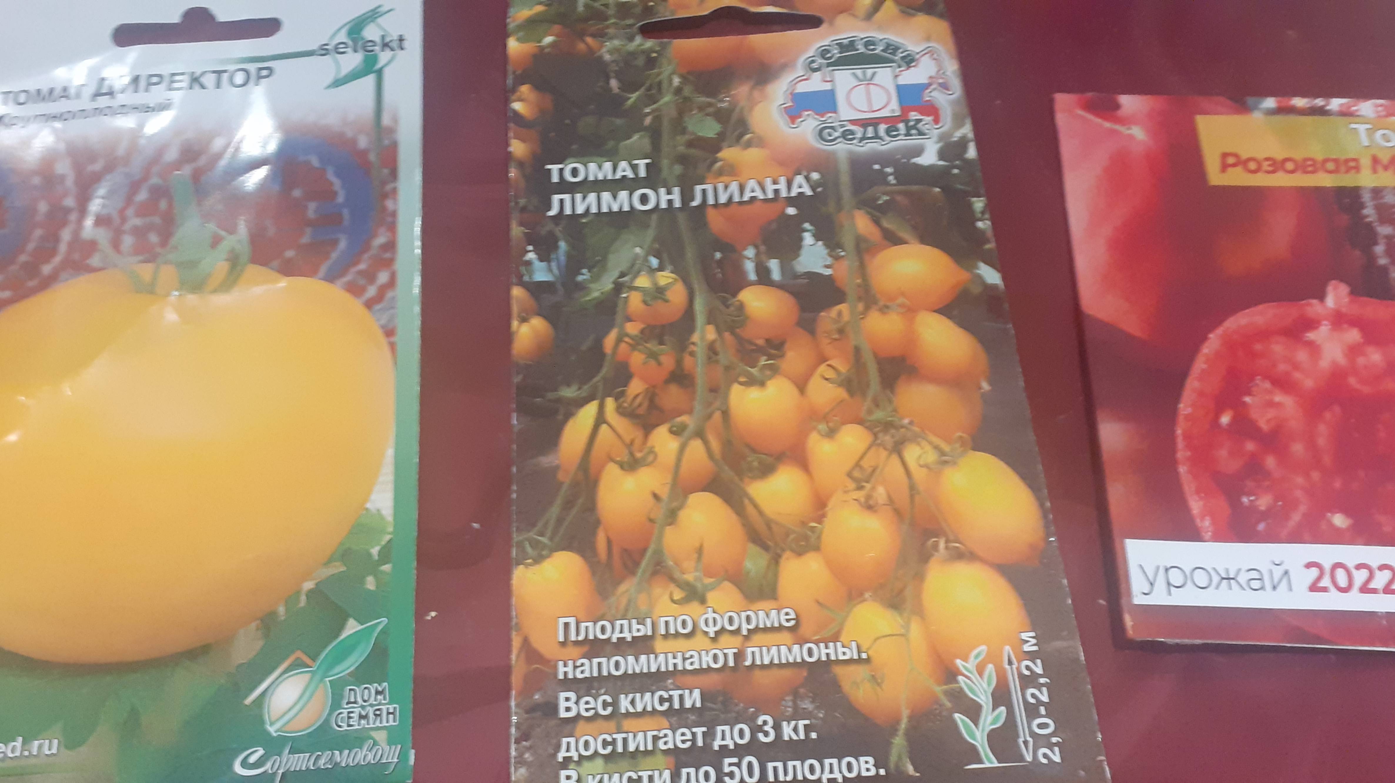 25.07.2025 Обзор покупок: семена новых для меня сортов и кашпо для цветов домашних.