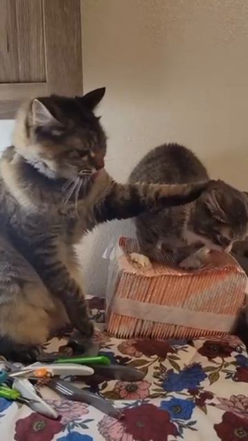 trim.70D46A96-A34D-4F0F-8E33-117B8DF9D935