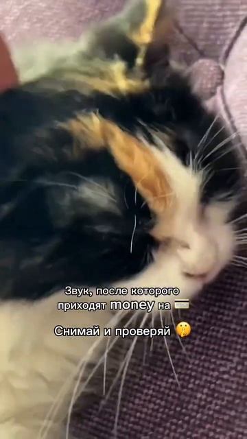 Звук, после которого money приходят на карту #shorts #деньги #богатство #денежноемышление