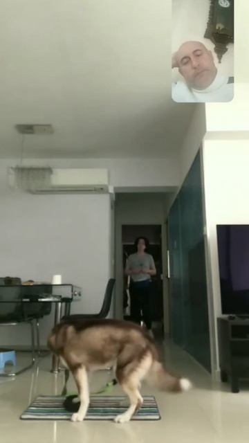 Занятие по видео связи с Сингапуром