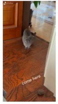 trim.65B8E40B-CDE0-496B-B6D1-43E14A2D0E68