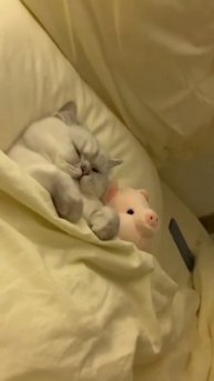 trim.71F7052F-0835-497F-8D0D-8C9C2C8A9ADD