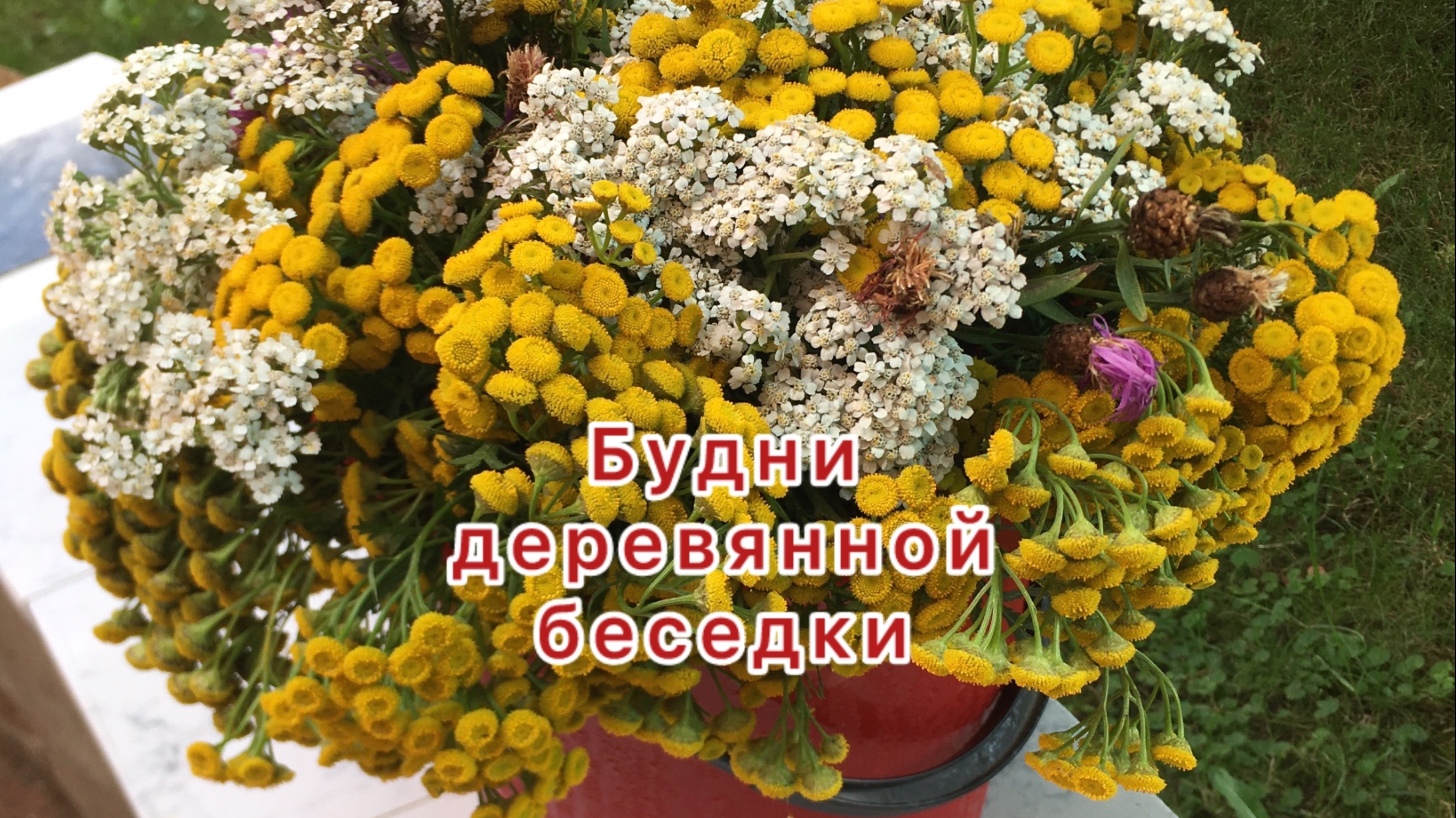 Деревянная беседка
Будни