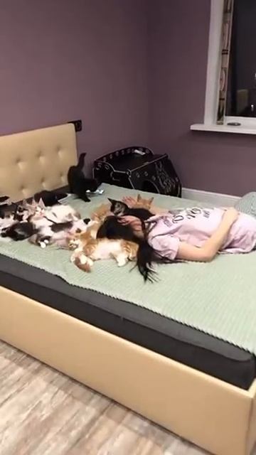 trim.60A823B3-3D03-4B5C-9028-9C2CA7747760