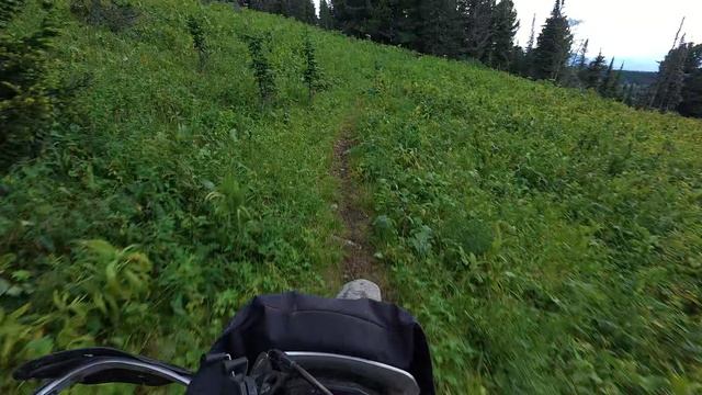 Белоголосово день 1