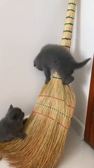 trim.72CDFA02-3301-431E-A676-664A01F86C6F