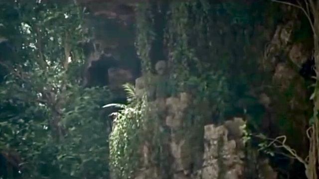 Серый Инопланетянин В Джунглях