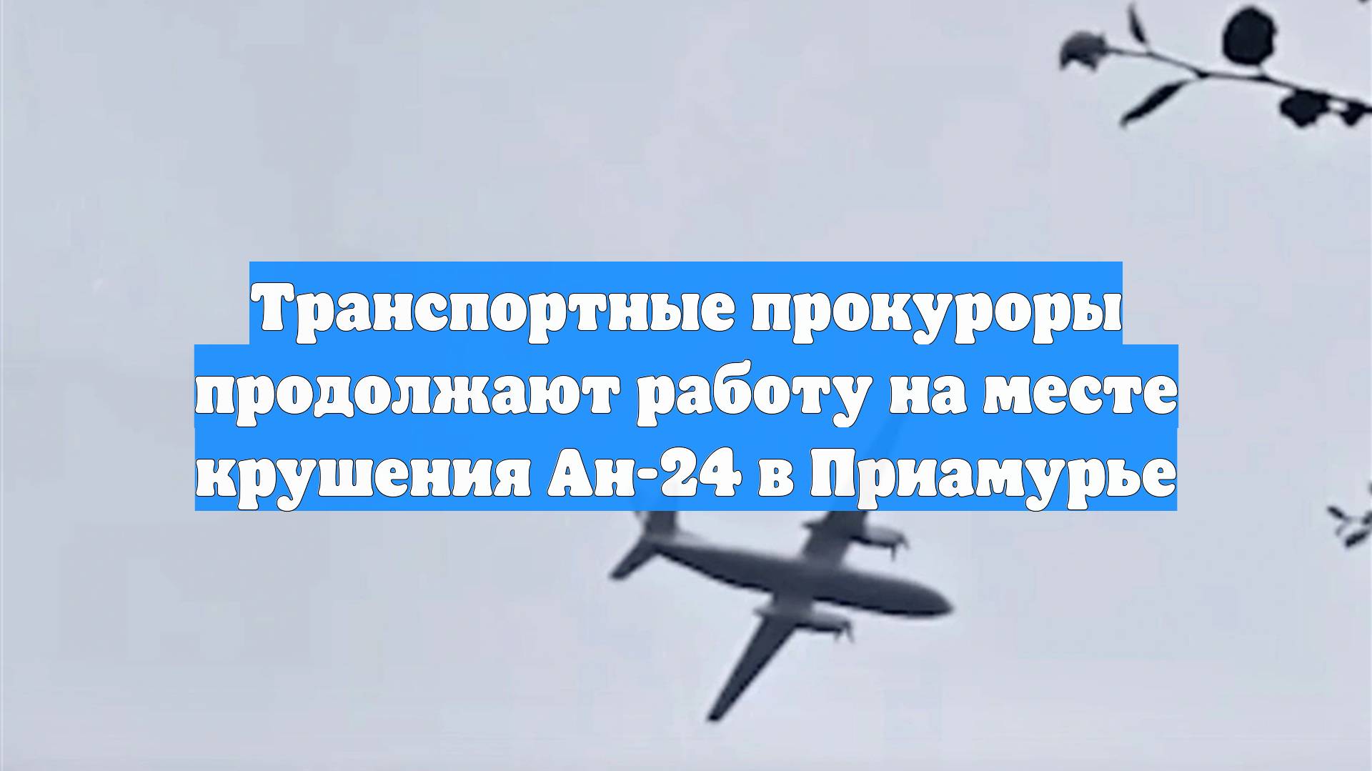 Транспортные прокуроры продолжают работу на месте крушения Ан-24 в Приамурье