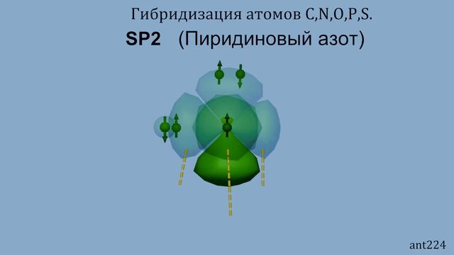 Гибридизация атомов C N O P S.