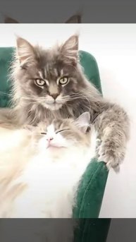 trim.54B658D2-E83C-479C-BC54-000231479EAC