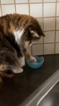 trim.54C38588-EBD0-46D8-92E1-663CF28064AC