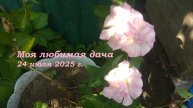 24.07.2025 _ Моя любимая дача
