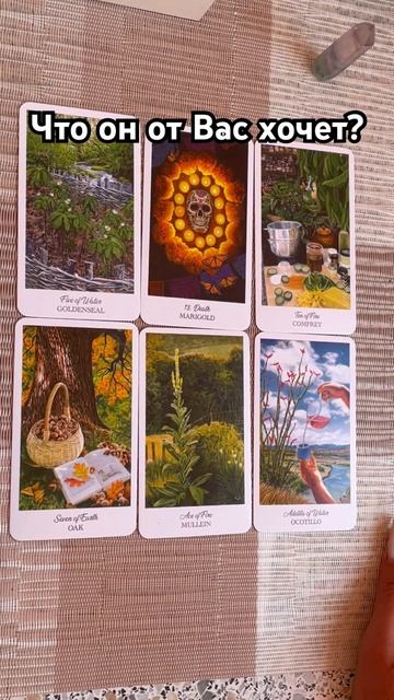 Что он хочет от Вас? #таро #тароотvicky #tarotfromvicky #любовь #отношения