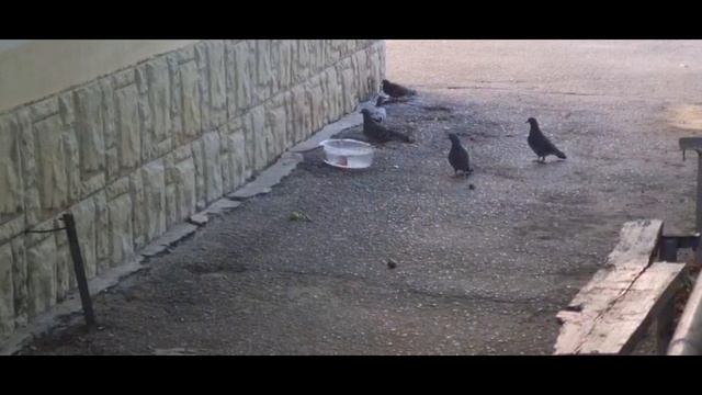 Вот и попили водички