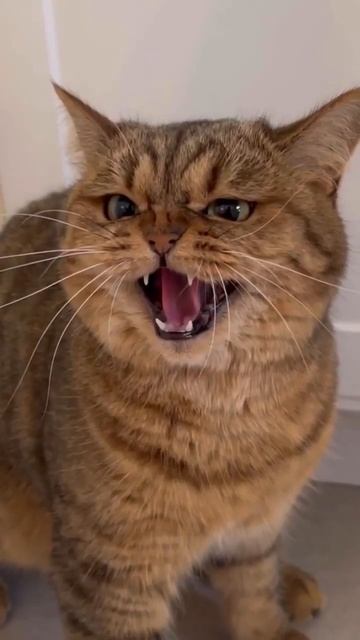 trim.67EB0D9C-0E65-4014-871B-BF5C440B57F1