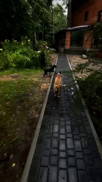 Нитрон (привет из дома)