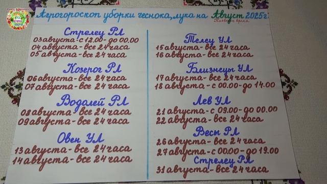 Самые Лучшие Дни для Сбора Урожая Чеснока и Лука в Августе 2025 года!