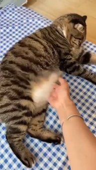 trim.63B726F6-7CBD-4023-87DD-593C622C13D1