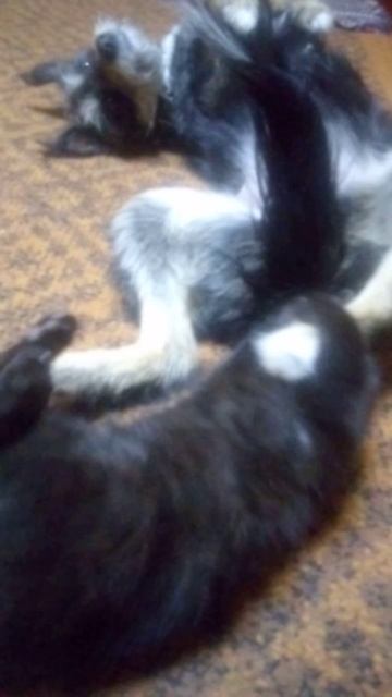 Дружба крепкая, не сломается