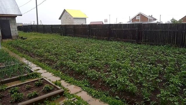 2025.06.хх Дождь