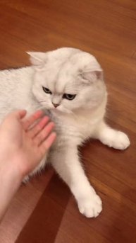 trim.67F1BD20-68FB-4CA3-9532-283427A583B9