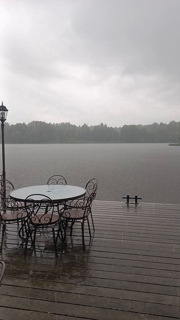 The rain over the New lake in Unecha./ Новое озеро под дождём. Унеча.