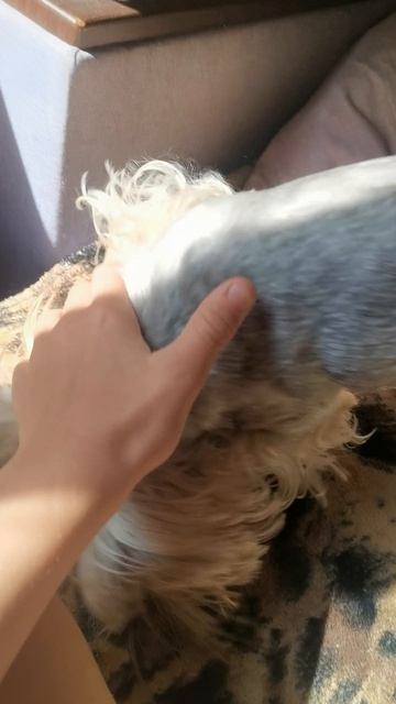 VID_20250725_093748.mp4